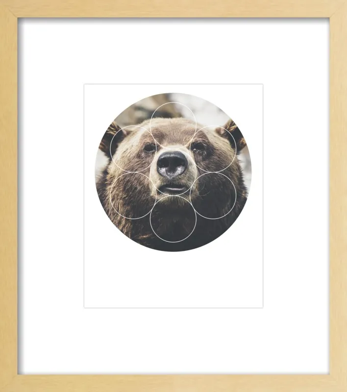 Big Bear Buddy - Geometric Photography by Emiliano Deificus for Artfully Walls