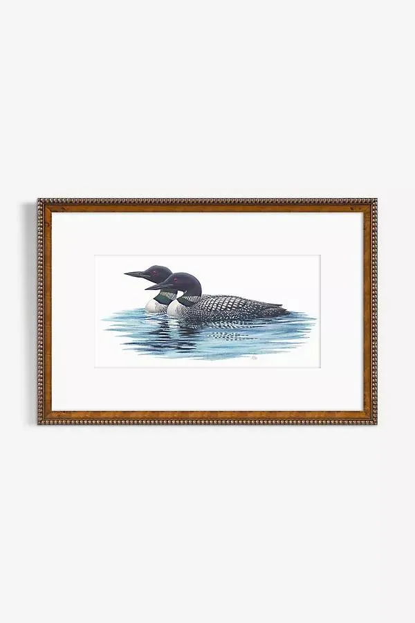 Pair of Common Loons Wall Art