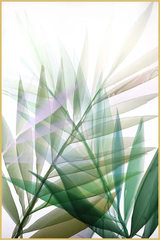 Tropical Study no. 8 by Marina Dunbar  for Artfully Walls