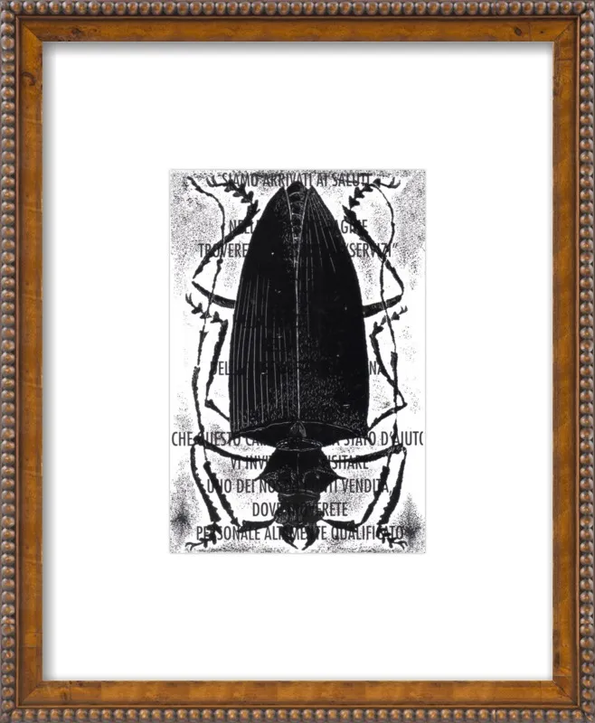 Black Beetle on Words by Tennopent Sooster for Artfully Walls