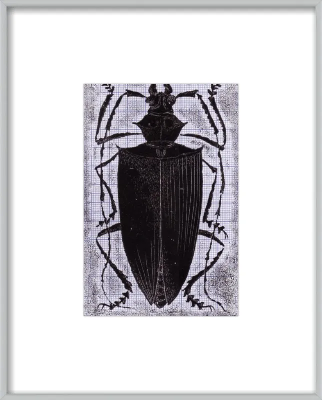 Black Beetle on Grey by Tennopent Sooster for Artfully Walls
