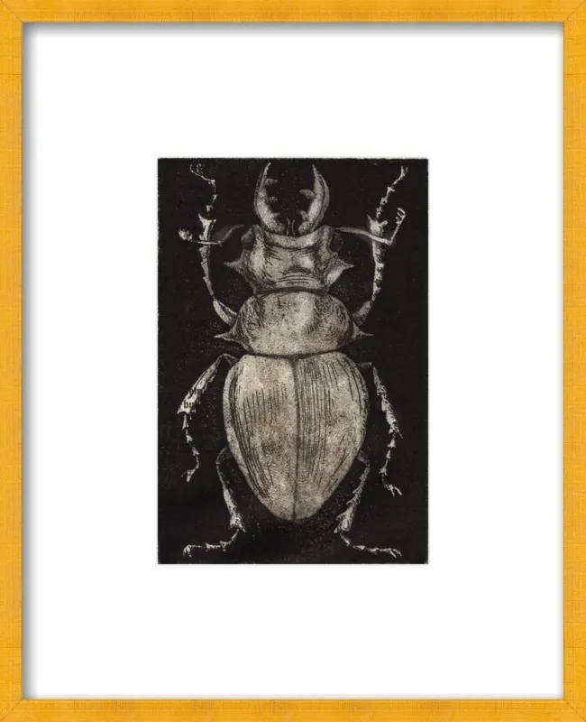 Grey Beetle on Black by Tennopent Sooster for Artfully Walls