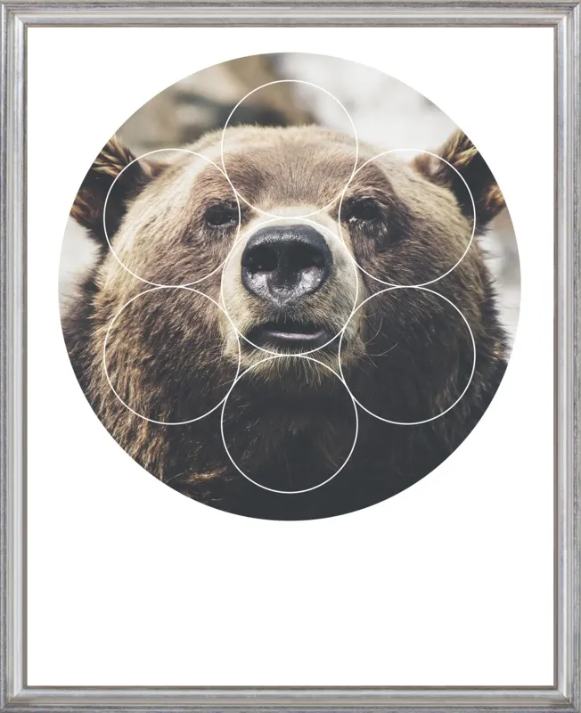 Big Bear Buddy - Geometric Photography by Emiliano Deificus for Artfully Walls