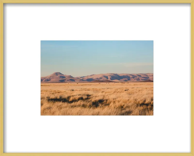 Where the Buffalo Roam by Ann Hudec for Artfully Walls