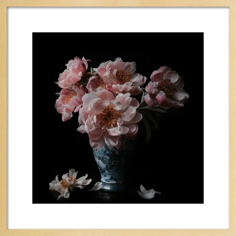 Pink Peonies  by Lucy Snowe for Artfully Walls