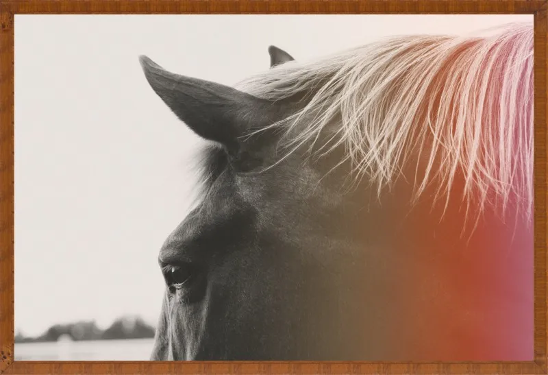 Pink Pony by Alicia Bock for Artfully Walls