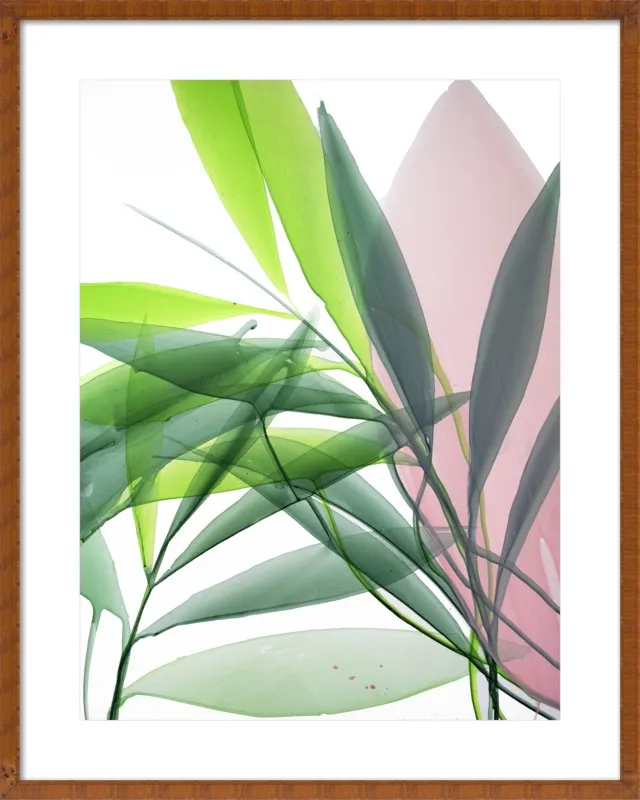 Tropical Study no. 15 by Marina Dunbar  for Artfully Walls