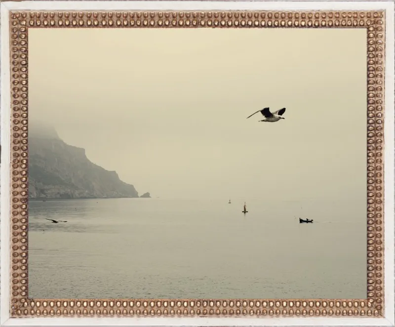 one day I will fly away by Ingrid Beddoes for Artfully Walls
