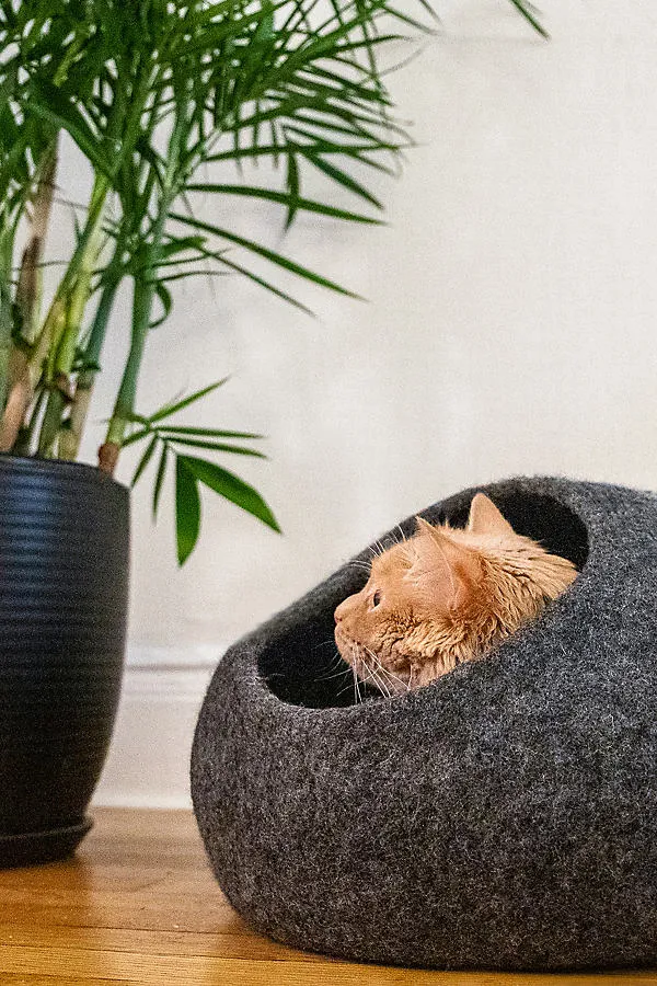 Horizon Cat Cave