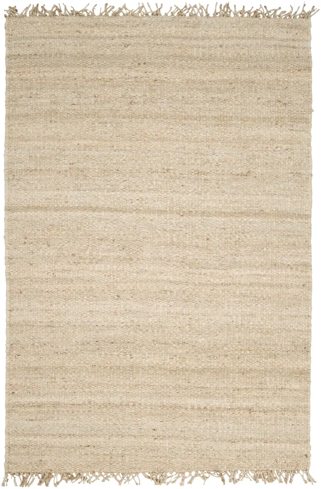 Jute Beige Indoor 4' x 6' Handmade Rug