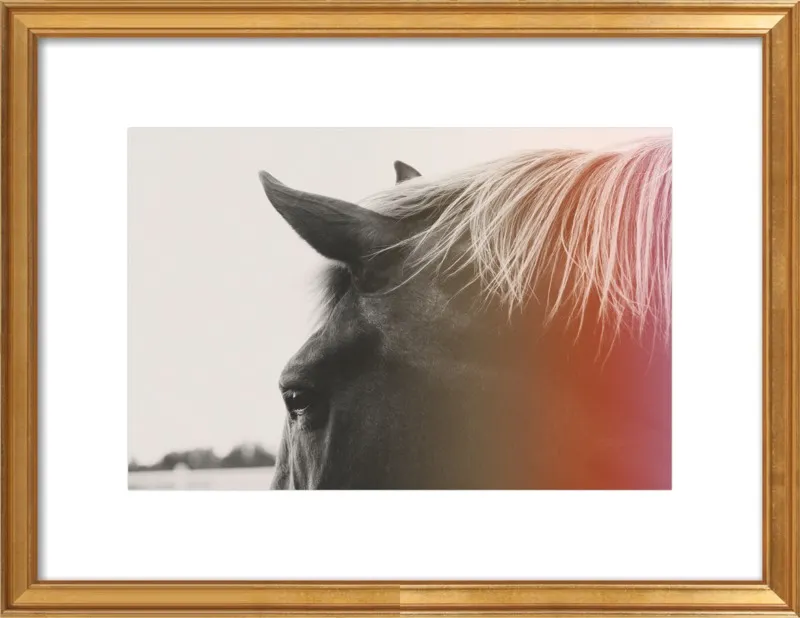 Pink Pony by Alicia Bock for Artfully Walls