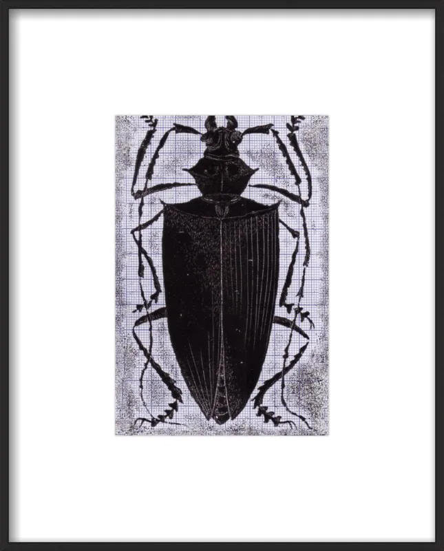 Black Beetle on Grey by Tennopent Sooster for Artfully Walls