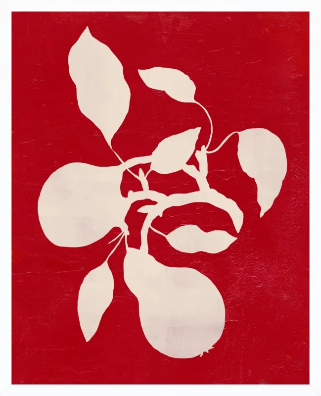 pears by Ruti Shaashua for Artfully Walls