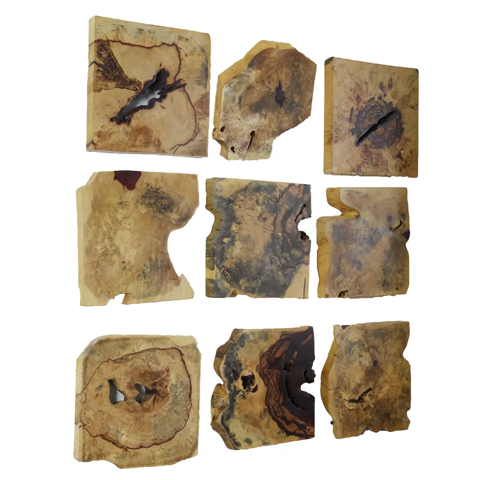 Bahati Wood Wall DÃ©cor In Natural Set/9