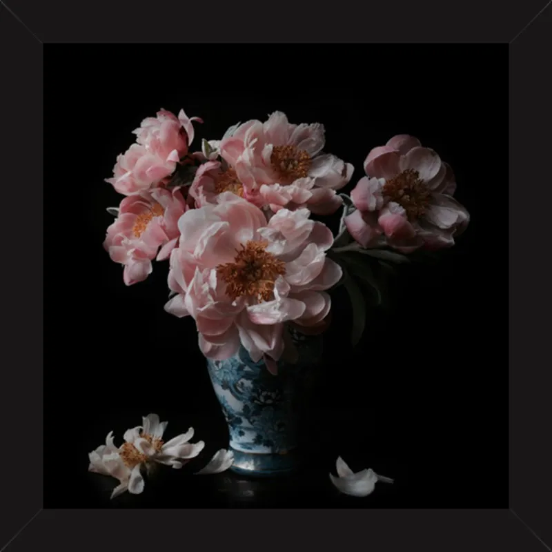 Pink Peonies  by Lucy Snowe for Artfully Walls