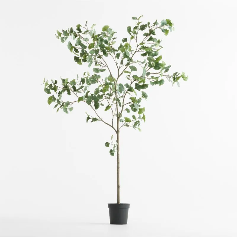 Potted Faux Ginkgo Tree 8'