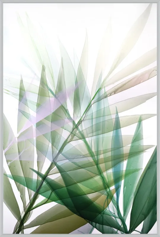 Tropical Study no. 8 by Marina Dunbar  for Artfully Walls