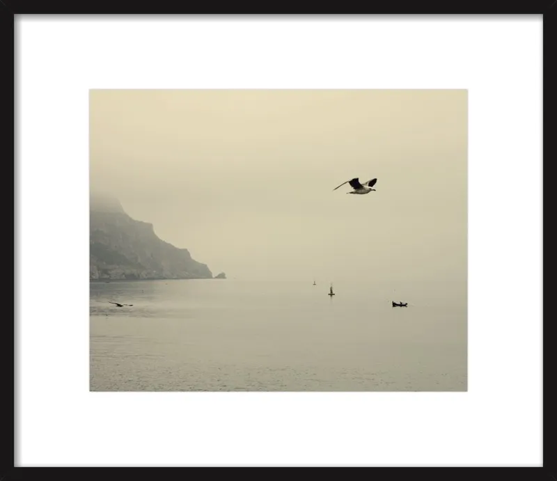 one day I will fly away by Ingrid Beddoes for Artfully Walls