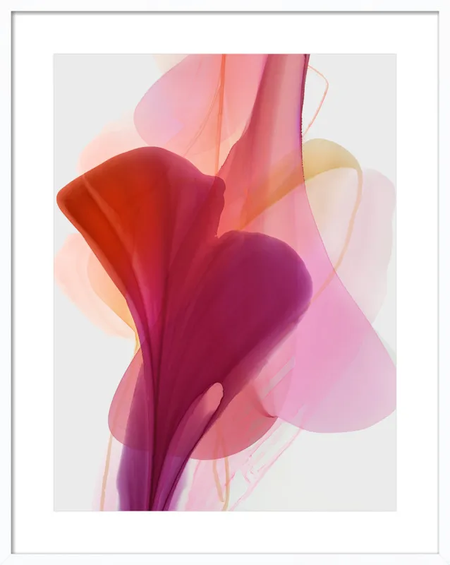 Abstract Flora Bloomlands 33 by Marta Spendowska for Artfully Walls