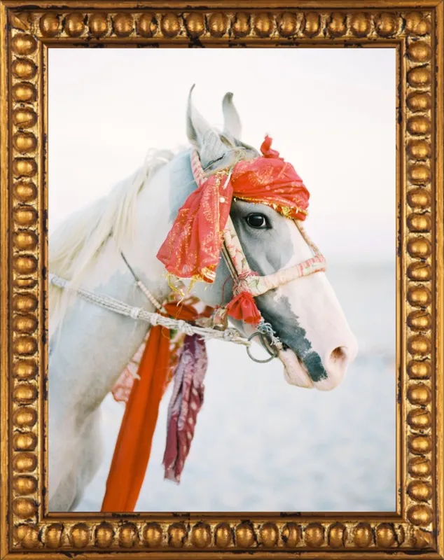 Marwari by Andrew Jacona for Artfully Walls