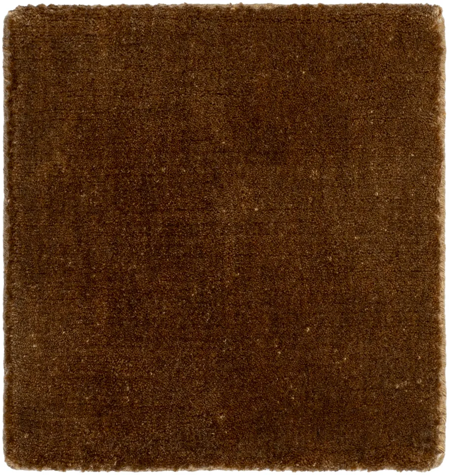 Modest Brown Indoor 10' x 14' Handmade Rug