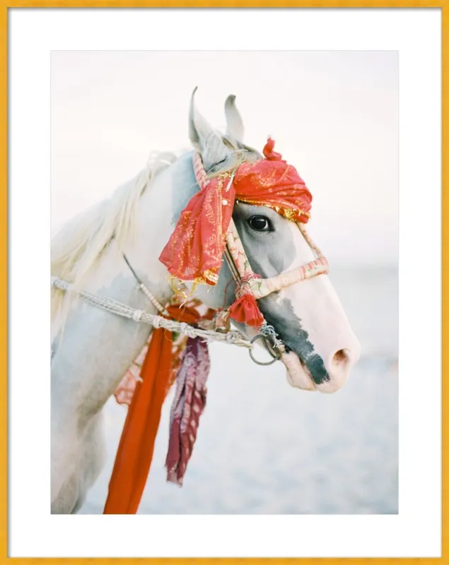 Marwari by Andrew Jacona for Artfully Walls