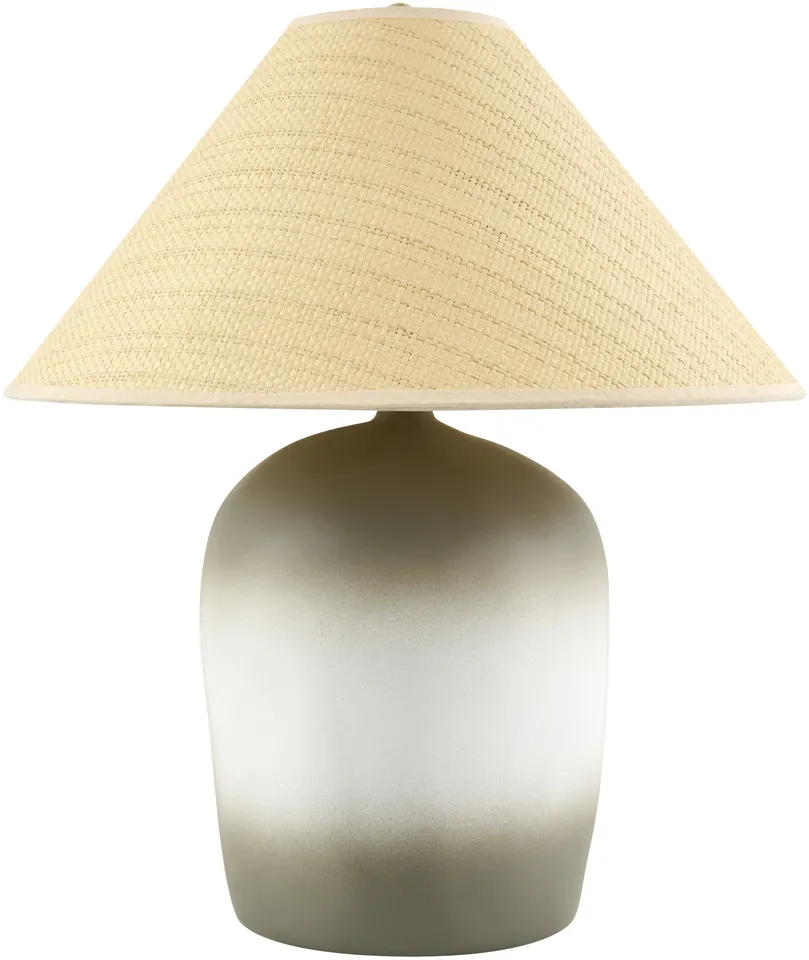 Otahu  Painted 20"H x 17"W x 17"D Accent Table Lamp