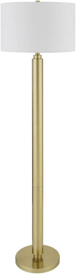 Bilyana  Metallic 63"H x 18"W x 18"D Accent Floor Lamp