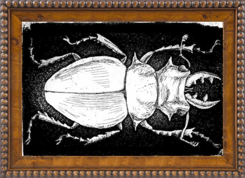 White Beetle on Black by Tennopent Sooster for Artfully Walls