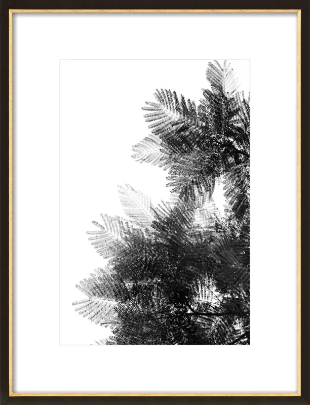 The Tree Top I by Tal Paz-Fridman for Artfully Walls