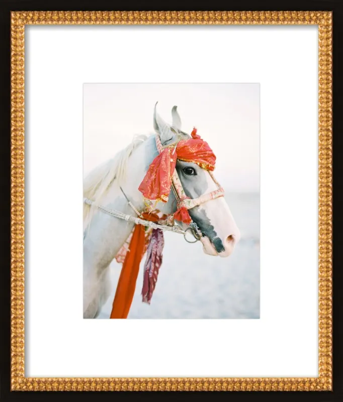 Marwari by Andrew Jacona for Artfully Walls
