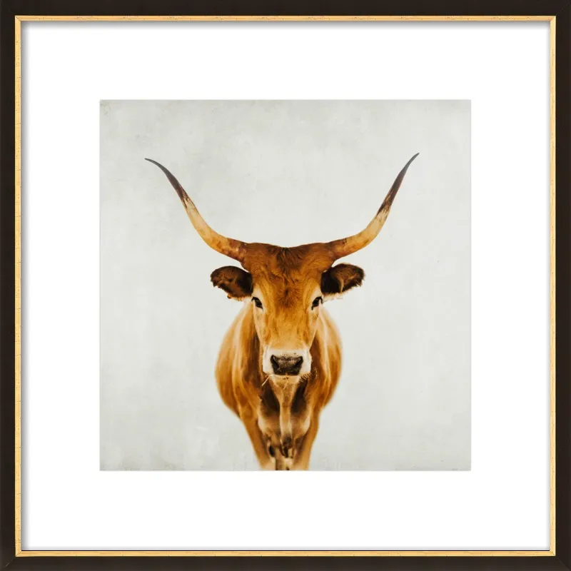 Honey by Ingrid Beddoes for Artfully Walls
