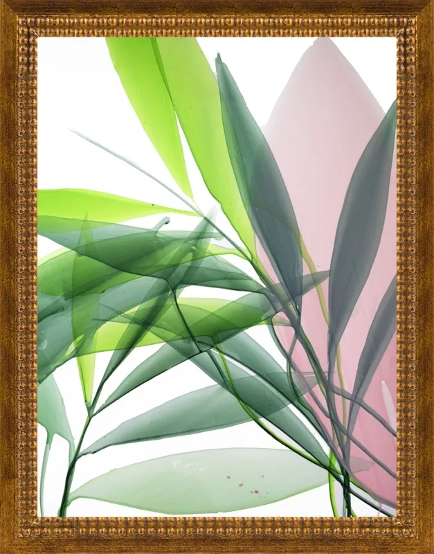 Tropical Study no. 15 by Marina Dunbar  for Artfully Walls