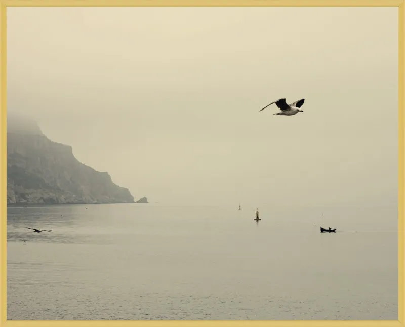 one day I will fly away by Ingrid Beddoes for Artfully Walls