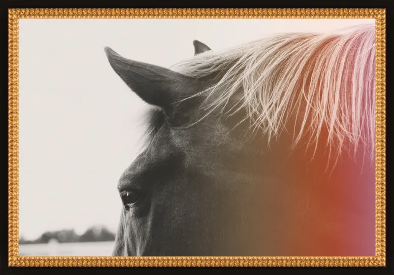 Pink Pony by Alicia Bock for Artfully Walls