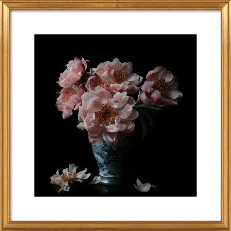 Pink Peonies  by Lucy Snowe for Artfully Walls