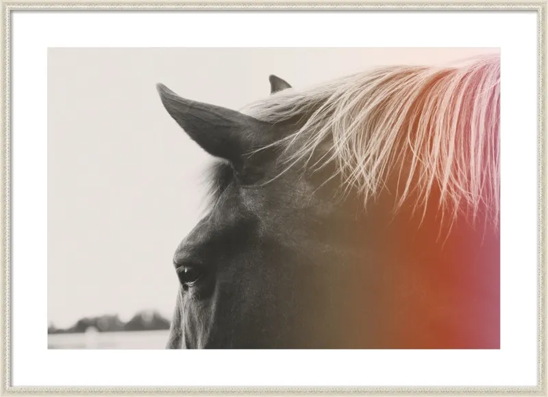 Pink Pony by Alicia Bock for Artfully Walls