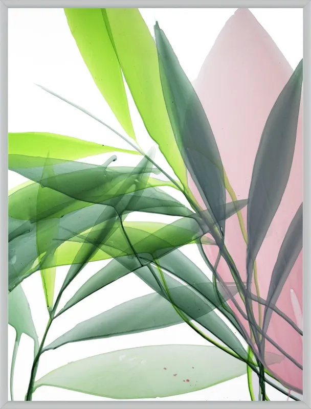 Tropical Study no. 15 by Marina Dunbar  for Artfully Walls
