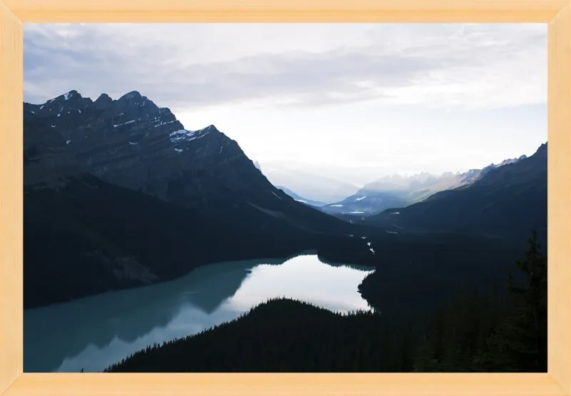Summer Night on Peyto Lake  by Tracy Zhang for Artfully Walls