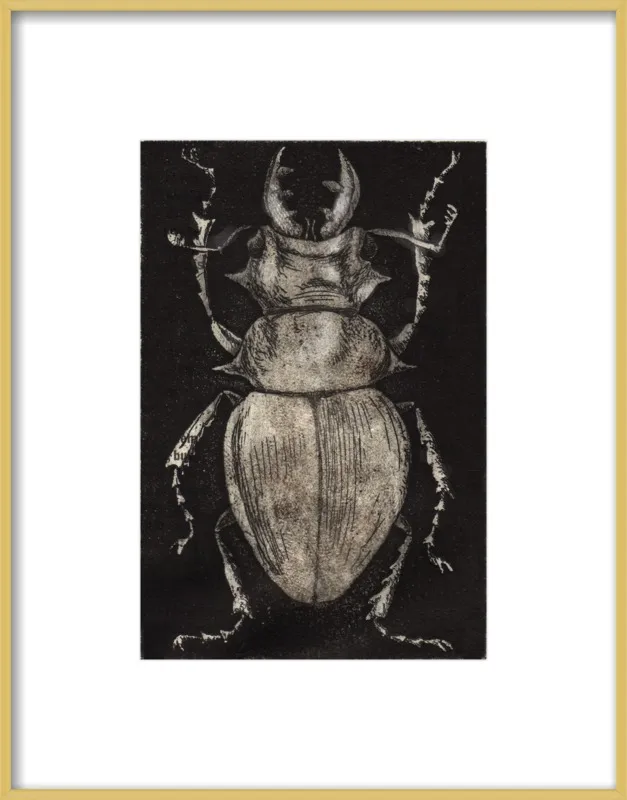 Grey Beetle on Black by Tennopent Sooster for Artfully Walls
