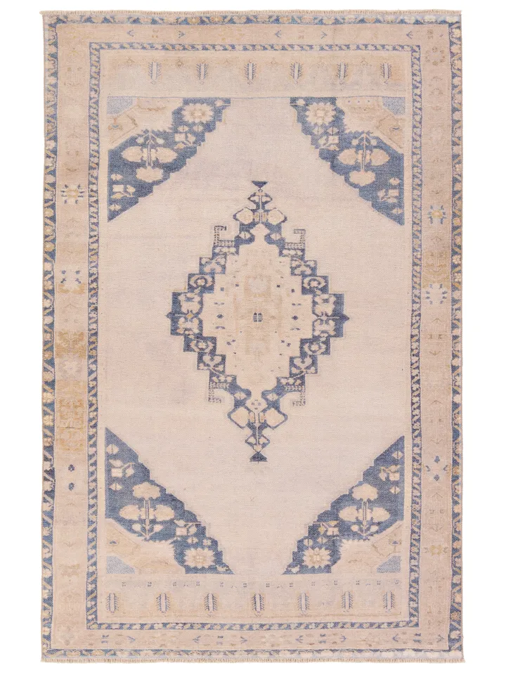 Label J Debolo LML05 Medallion Tan and Blue Area Rug (8'6"x11'9")