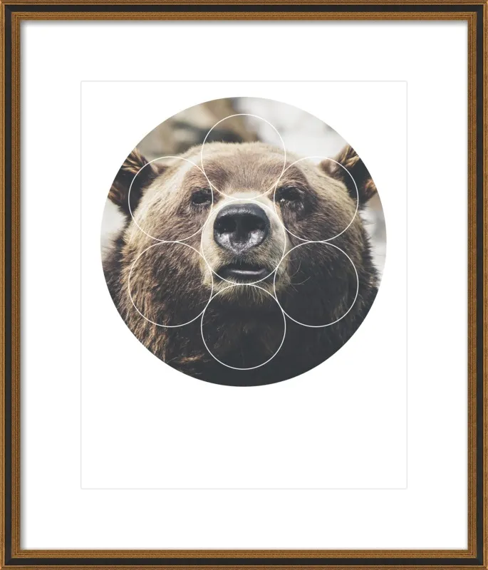 Big Bear Buddy - Geometric Photography by Emiliano Deificus for Artfully Walls