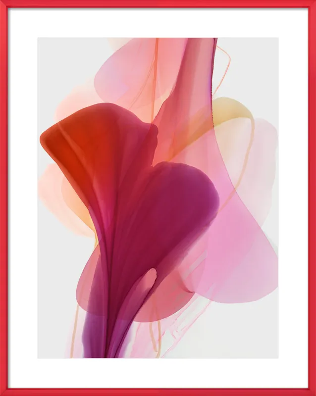 Abstract Flora Bloomlands 33 by Marta Spendowska for Artfully Walls