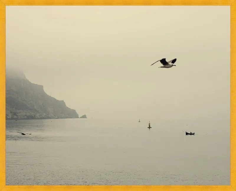 one day I will fly away by Ingrid Beddoes for Artfully Walls