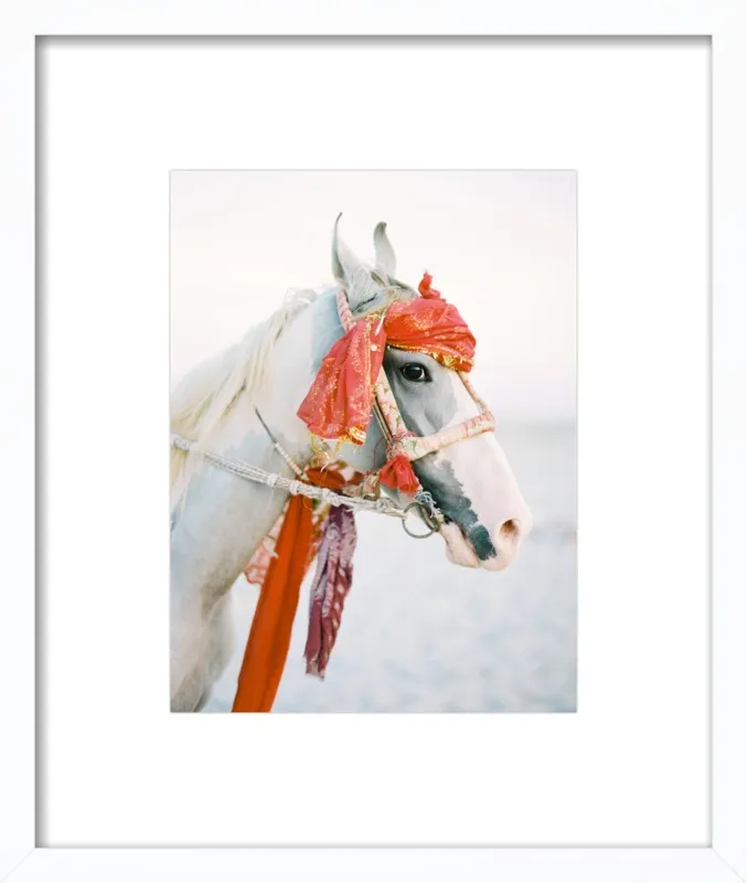 Marwari by Andrew Jacona for Artfully Walls