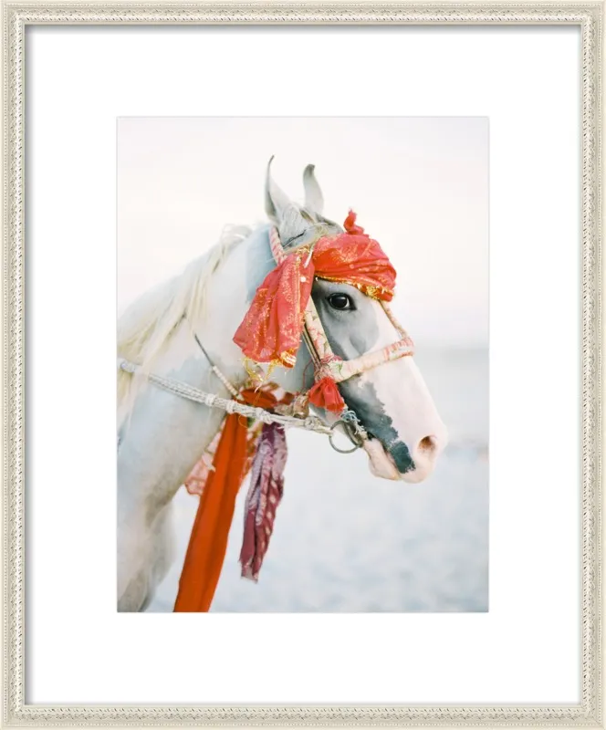 Marwari by Andrew Jacona for Artfully Walls