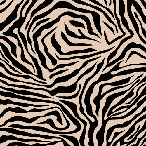 Zebra Print Zebra Stripes Wild by Daily Regina Designs - Shower Curtain Standard 71" x 74"