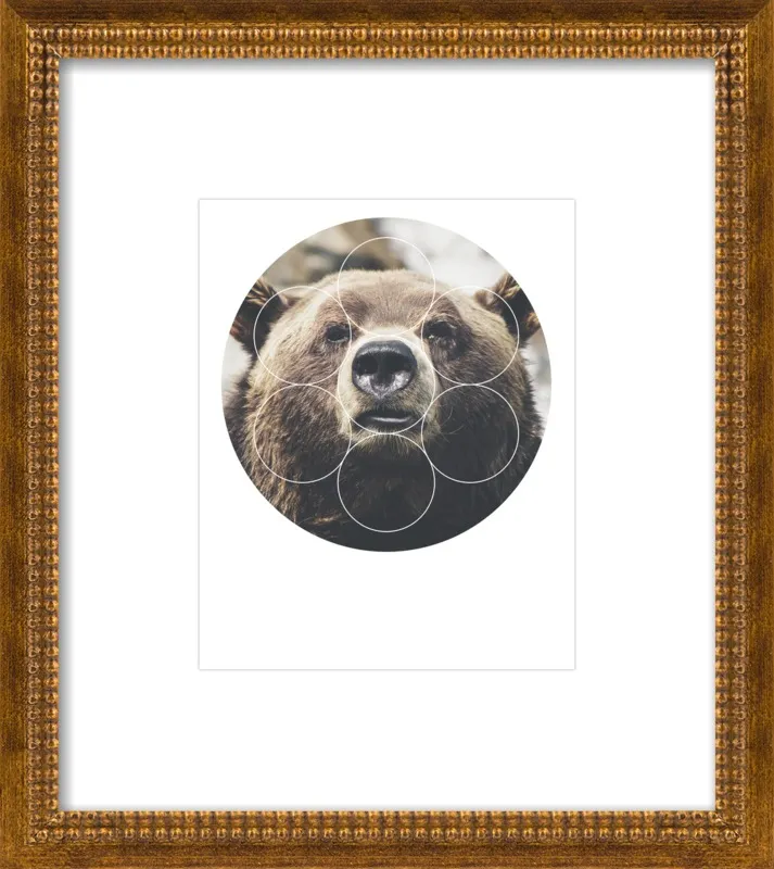 Big Bear Buddy - Geometric Photography by Emiliano Deificus for Artfully Walls