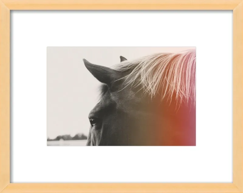 Pink Pony by Alicia Bock for Artfully Walls