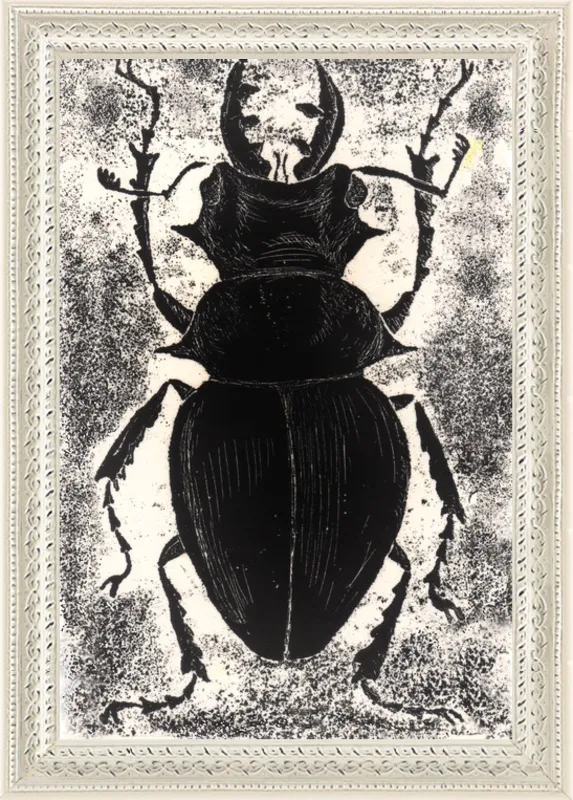 Black Beetle on White by Tennopent Sooster for Artfully Walls